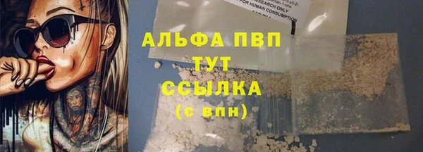 гашик Аркадак