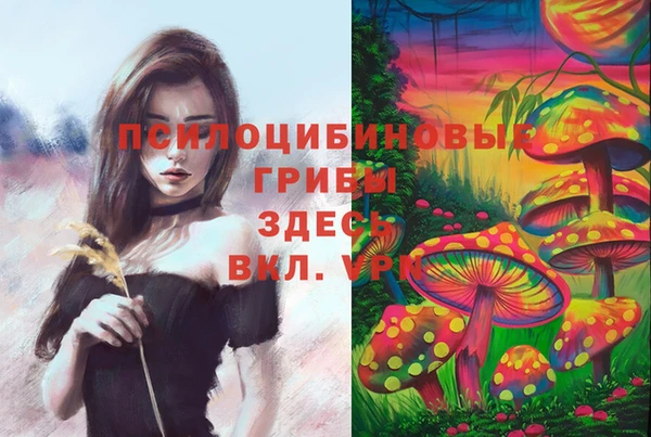 бутират Арсеньев