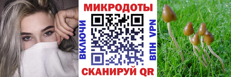 Псилоцибиновые грибы MAGIC MUSHROOMS Рыльск